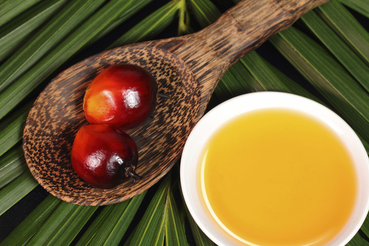 Как делают пальмовое масло и к чему приводит его производство