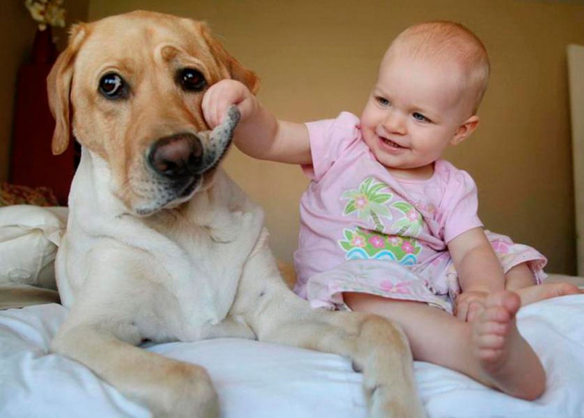 Собака и ребенок. 12 золотых правил для родителей