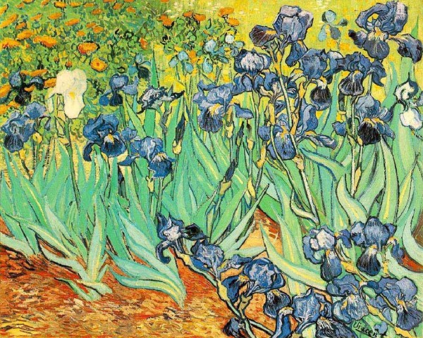 История живописи. 20 самых известных картин Ван Гога